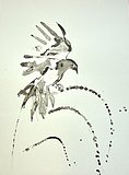 ekster 1