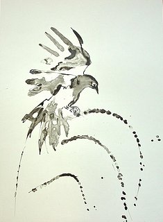 ekster 1