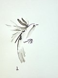 vv 11