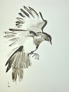 ekster 3